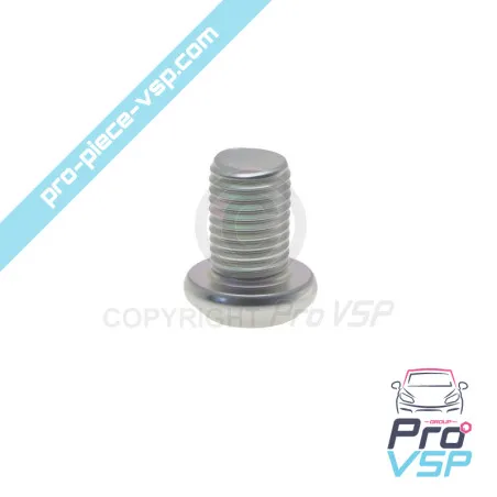 copy of Capul cu cap Vis M10x16