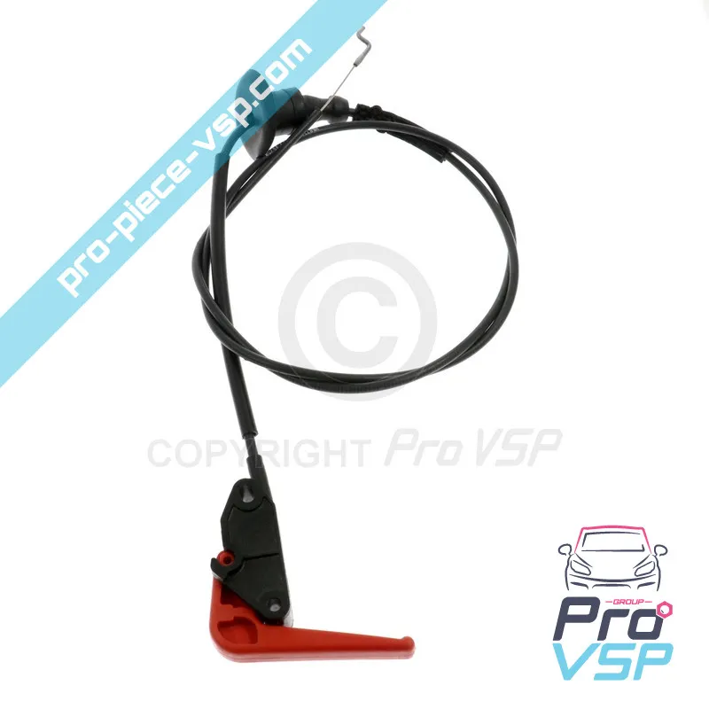 %product-name% / %summary% / %shop-name%