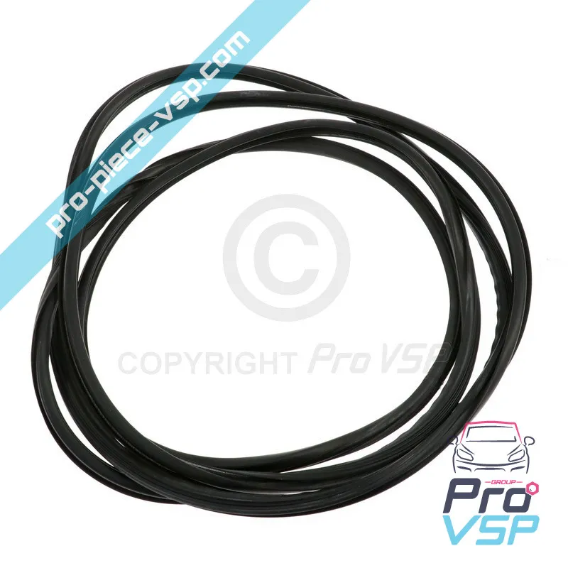 Windshield seal