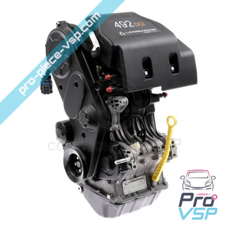 Engine Lombardini DCI