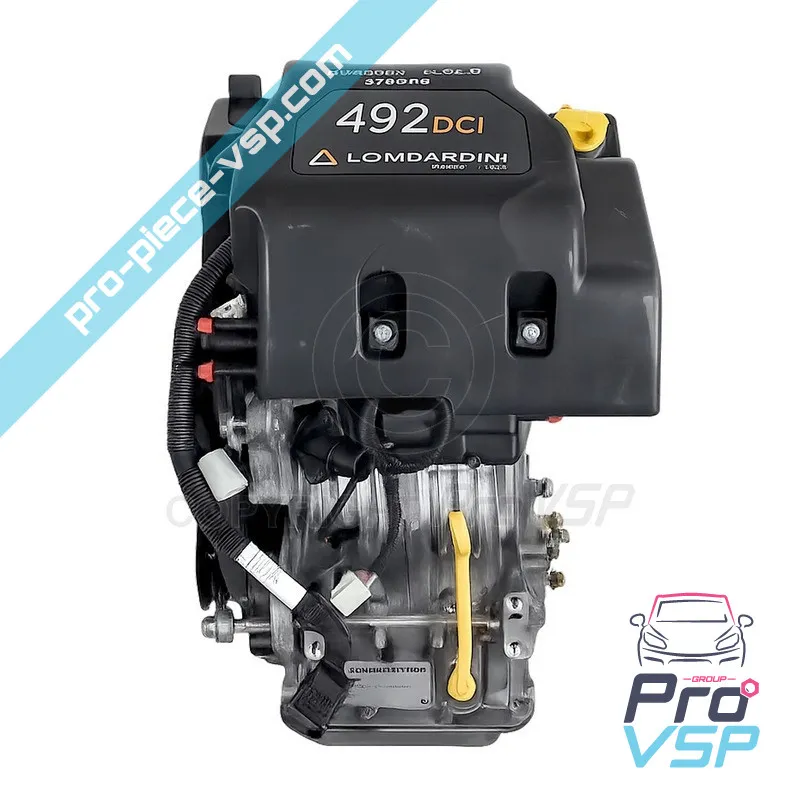 Engine Lombardini DCI