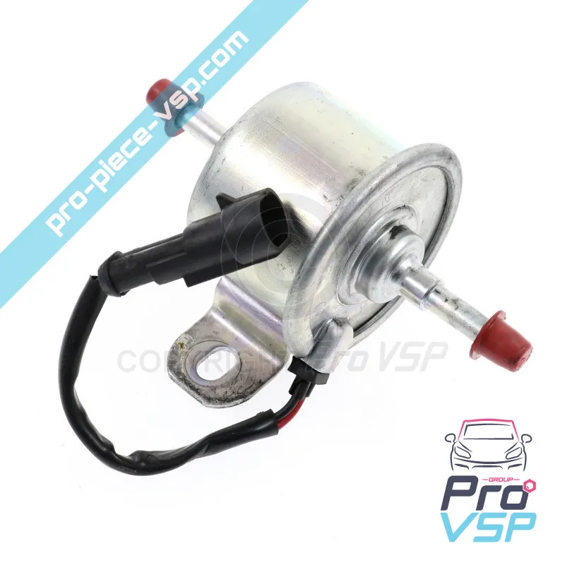 Elektrische Dieselpumpe