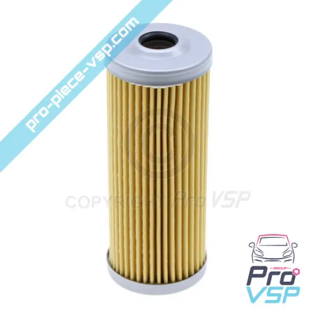 Filtru de gaz