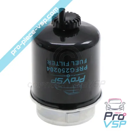 Filtru de gaz