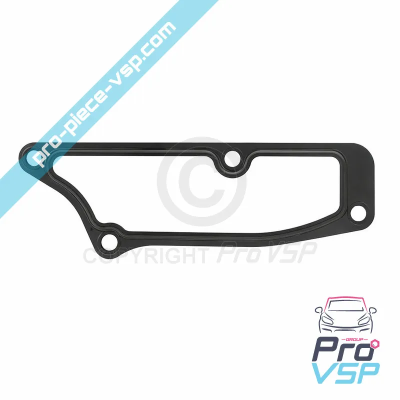 Kit Gasoil Pump-Filterdichtung