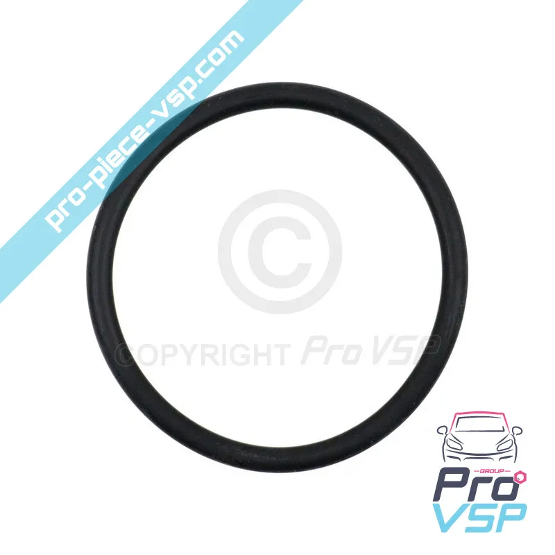 Gasoil tank seal