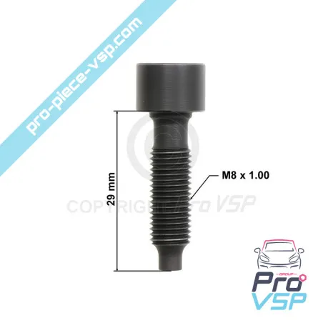 EGR valve