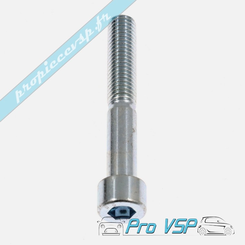 Rear brake caliper screw