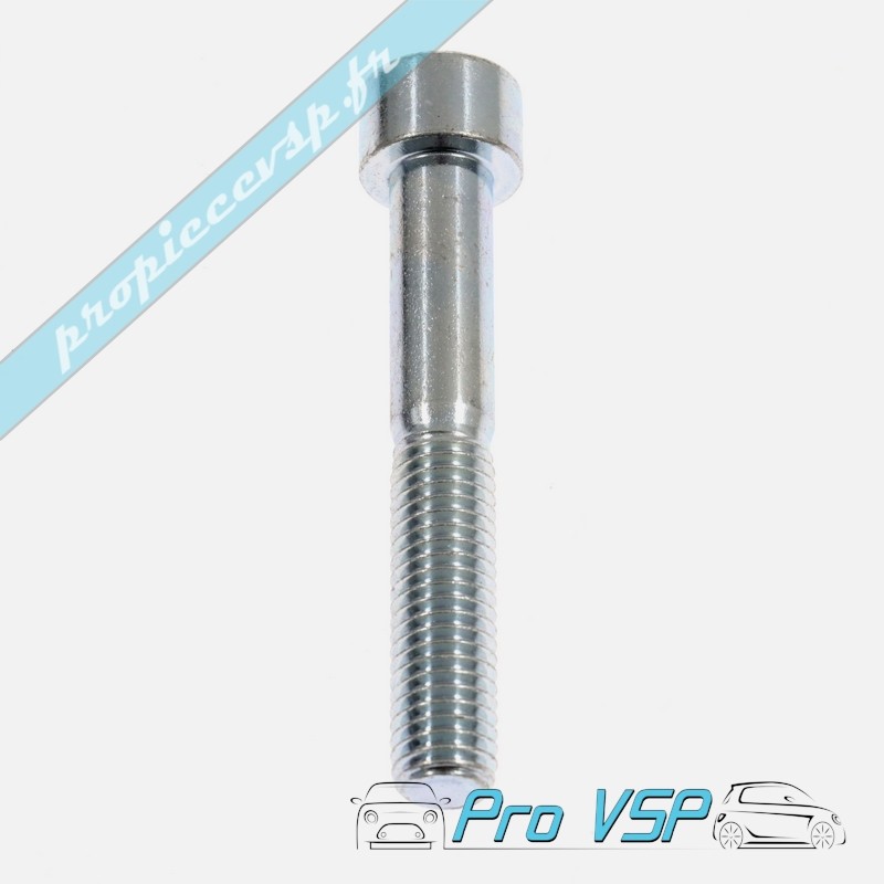 Rear brake caliper screw