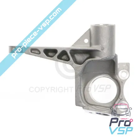 Left hub holder adaptable for Aixam