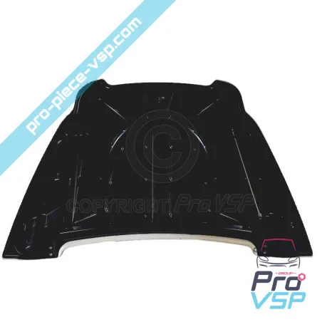 Kapuze für gebrauchte Ligier Besun