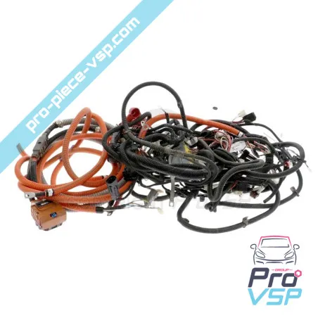 Fascicul electric folosit pentru Ligier Besun