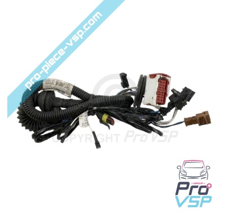 Feixe elétrico da porta usada para o JDM xheos