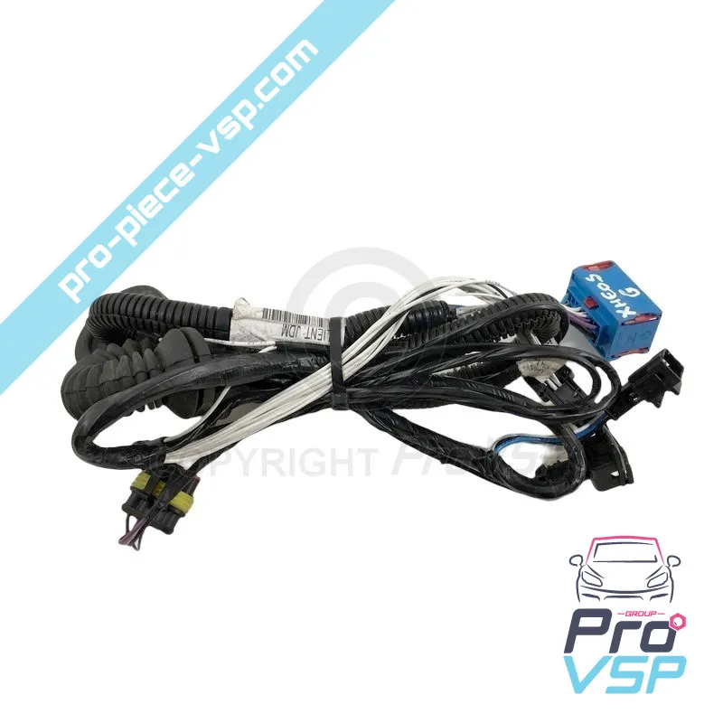 Feixe de porta esquerda Feixe de porta esquerda