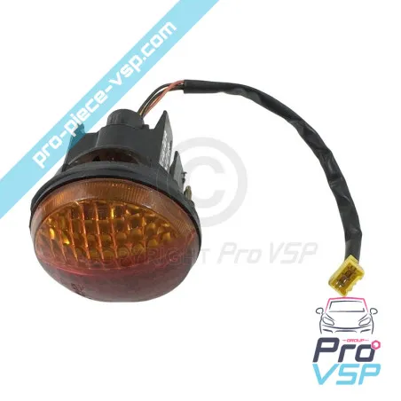 Lumină din spate stânga pentru Ligier nova