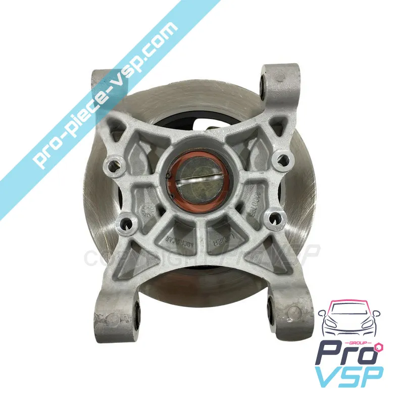 Hub trasero completo