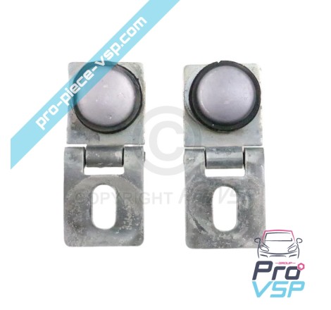 Tailgate hinge