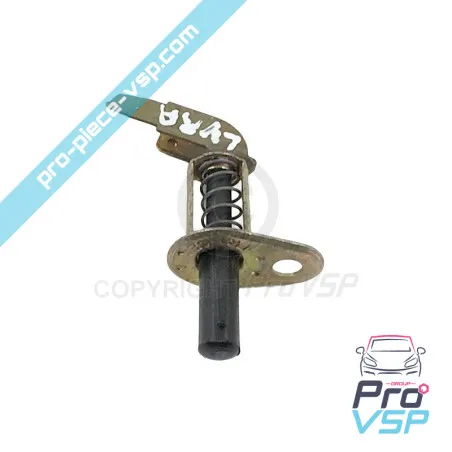 Gebrauchte Türschütz für Mikrocar lyra