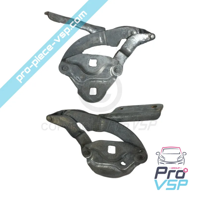 Dobradiça do capô usado para Chatenet