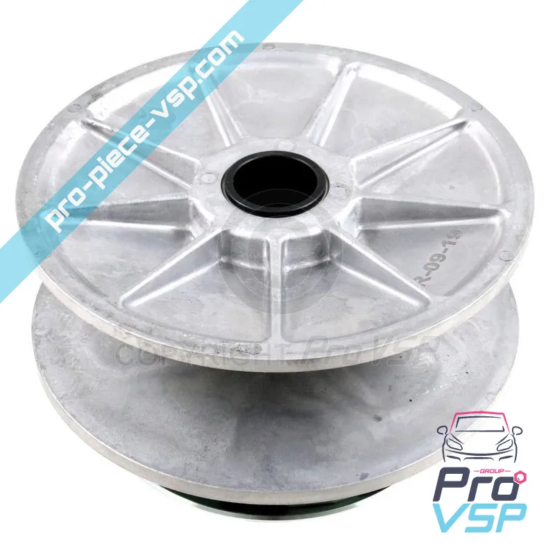 Mikrokar ligier chatenet jdm bellier casalini