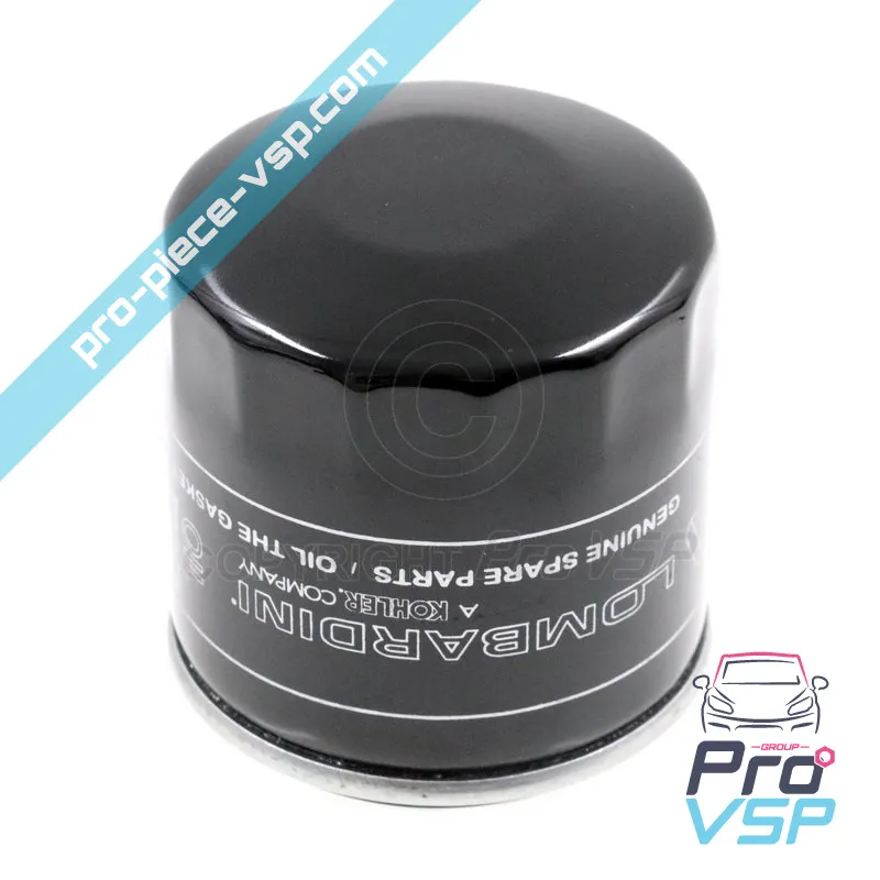 Oil Filter Origin for Lombardini Engine dci