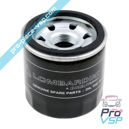 Oil Filter Origin for Lombardini Engine dci