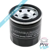 Ölfilter-Ursprung für Lombardini-Motor dci