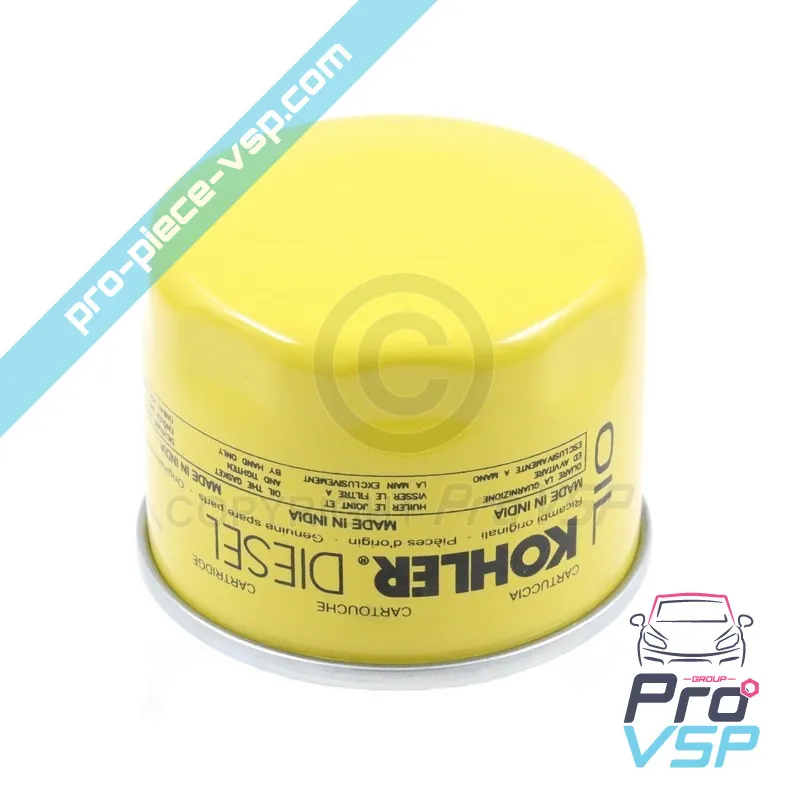 Ölfilter-Ursprung für Lombardini-Motor focs progress Essenz Ölfilter-Ursprung für Lombardini-Motor focs progress Essenz