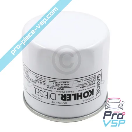 Filtro de Gasoil para parafusar origem para o motor Lombardini focs