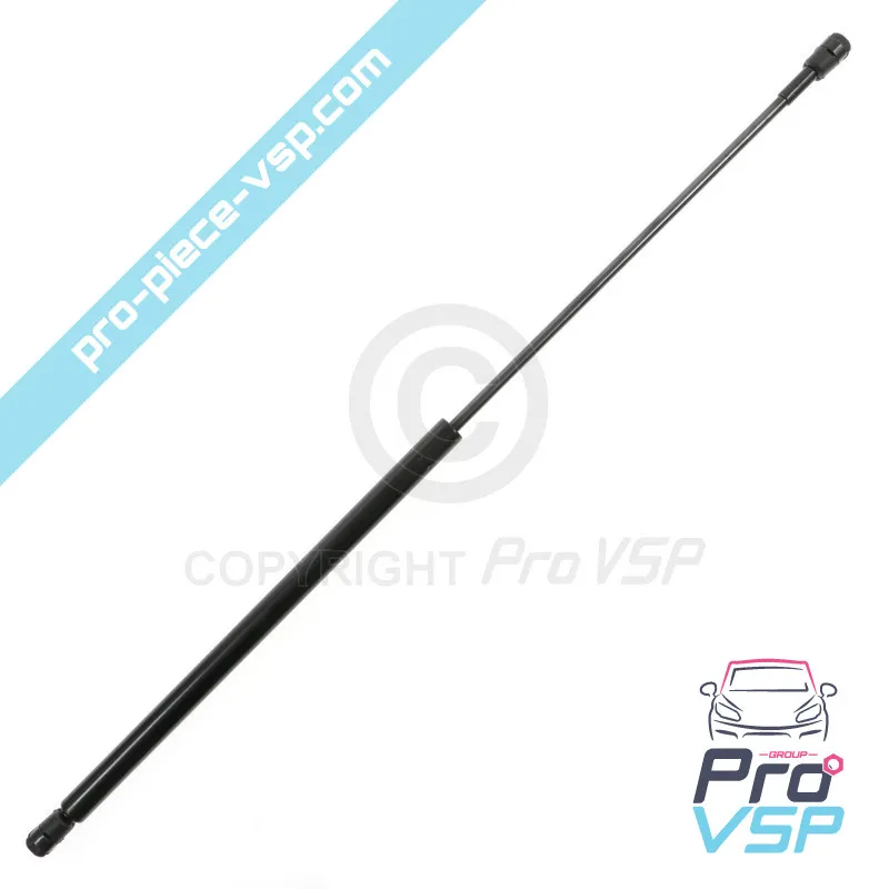 Heckklappe Microcar Mgo 1 und 2