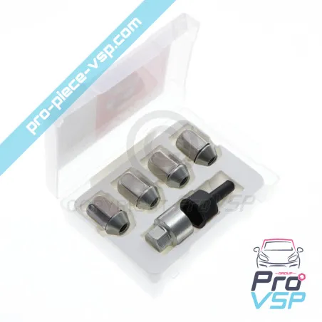 Anti-theft nuts for Aixam