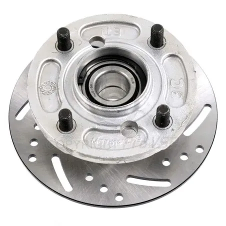 Disc complet de frână spate pentru ligier