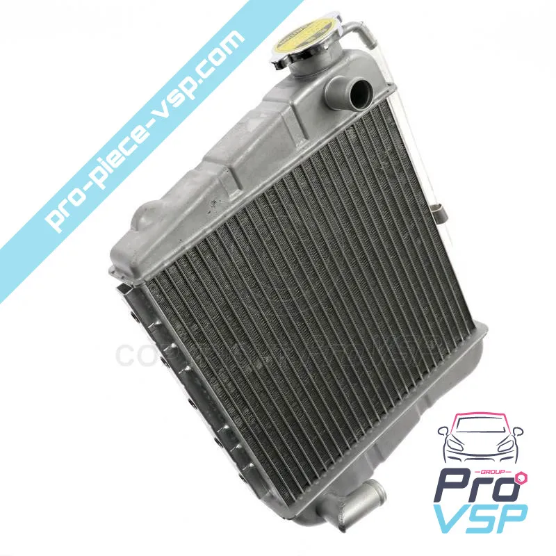 Radiateur adaptable pour Microcar , Chatenet , Jdm , Bellier