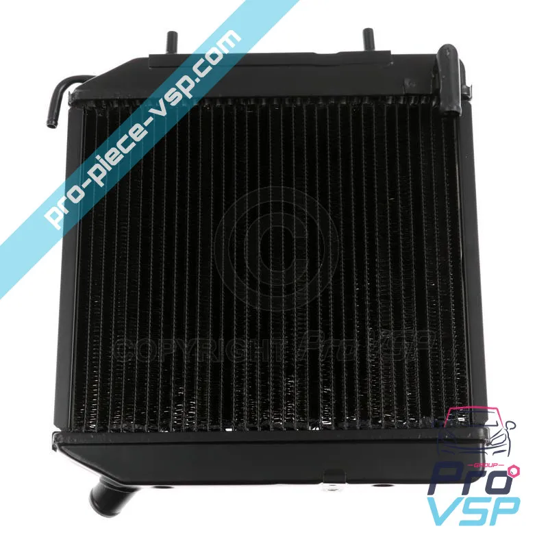 Radiador para Ligier 162