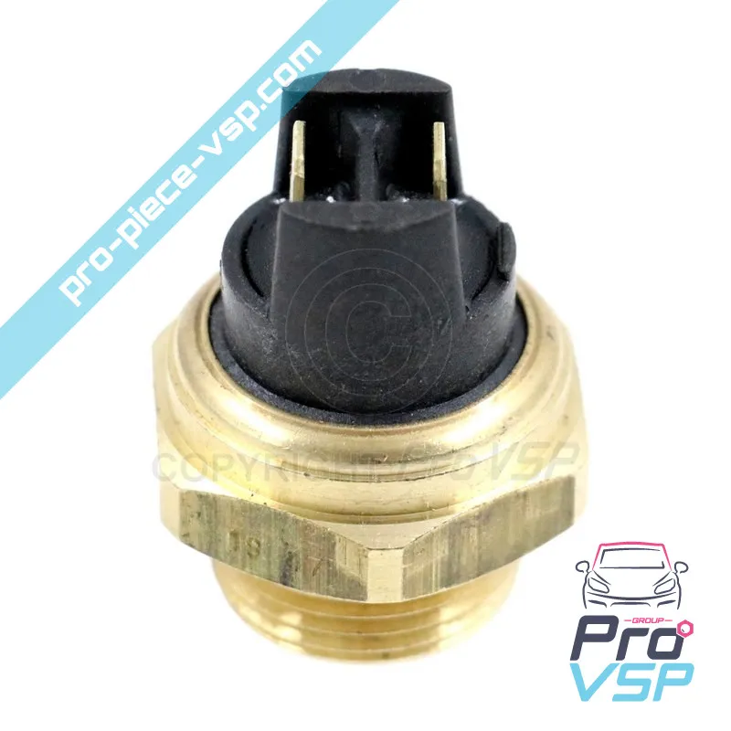 Temperature sensor for Microcar and Due Ligier