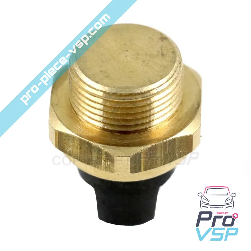 Temperature sensor for Microcar and Due Ligier