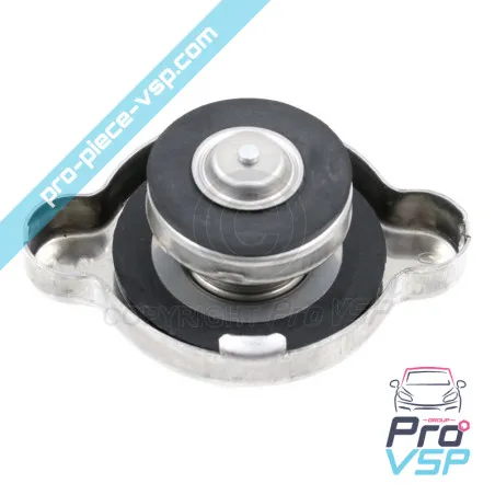 Cappuccio del radiatore