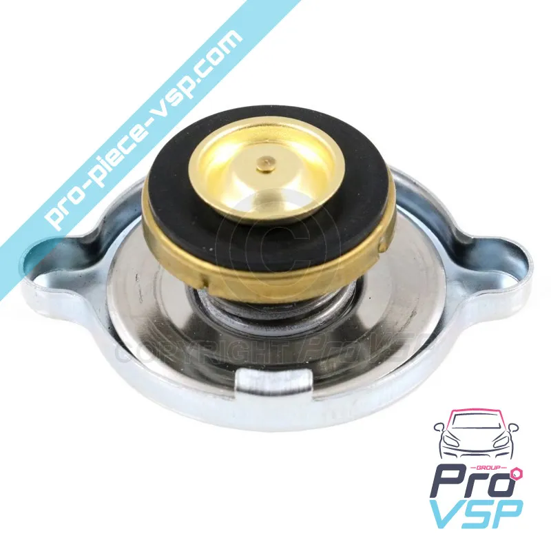 Bouchon de vase d'expansion pour ligier microcar chatenet jdm casalini