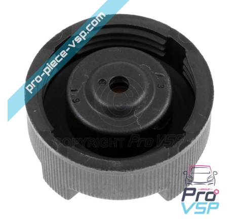 Expansion tank cap