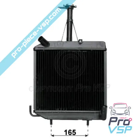 Radiator for Ligier ambra
