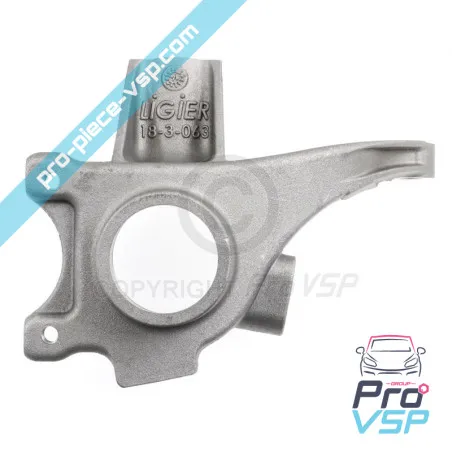 Left hub holder adaptable for Ligier