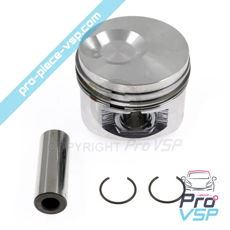 Kolben Ursprung für Lumbardini Motor focs