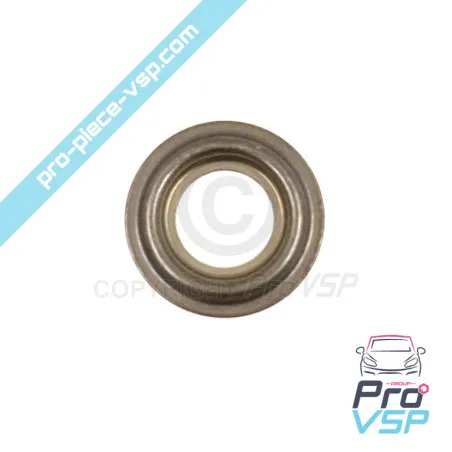 Lombardini Injector Flame Pare focs and progress