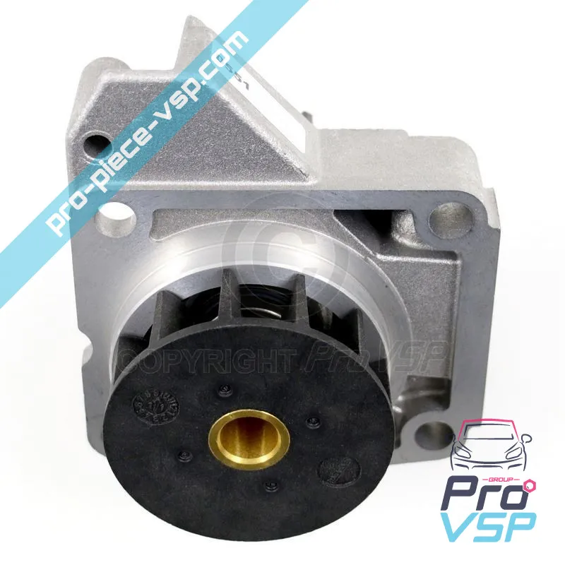 Vattenpump ursprung lombardini focs och progress