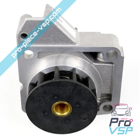 Water pump origin Lombardini focs and progress