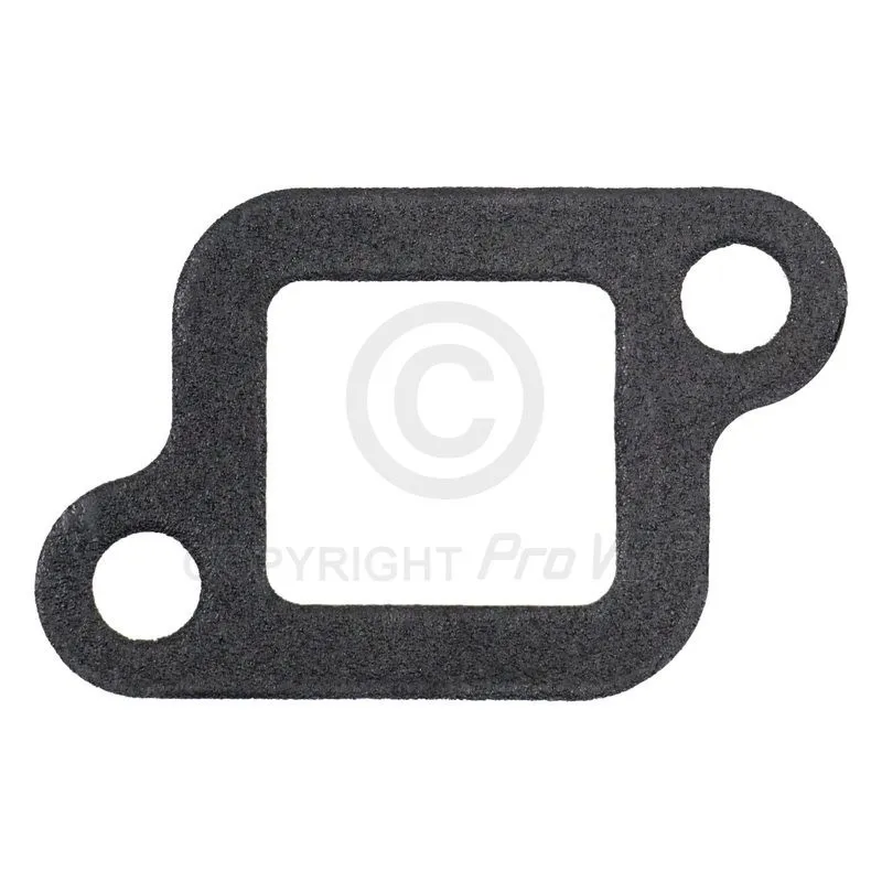 Thermostat case gasket