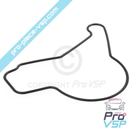 Öl-Ox-Pumpdichtung für Lombardini-Motor focs und progress