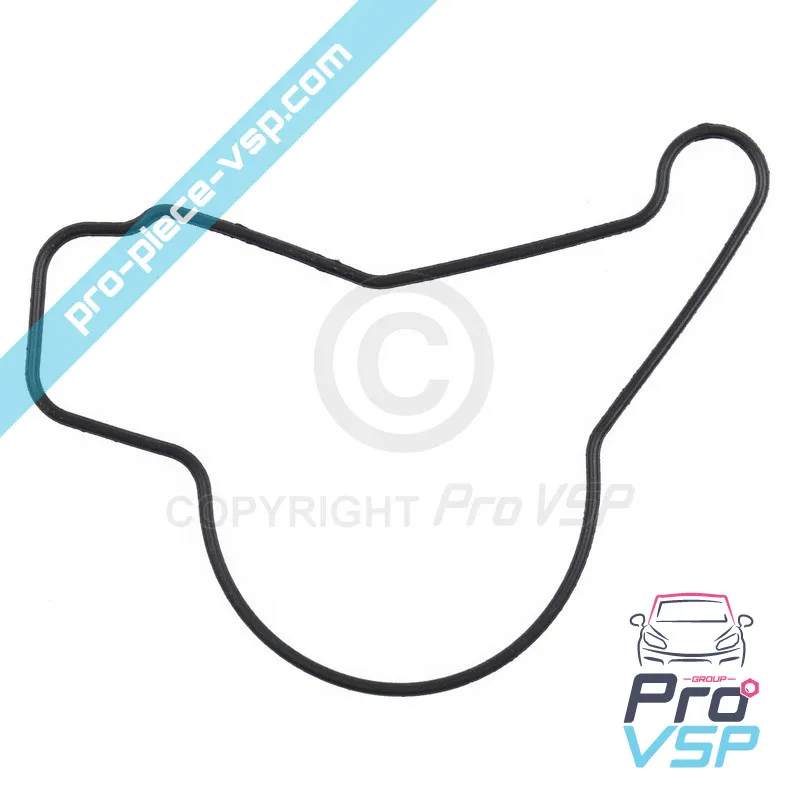 Öl-Ox-Pumpdichtung für Lombardini-Motor focs und progress