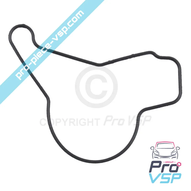 Öl-Ox-Pumpdichtung für Lombardini-Motor focs und progress