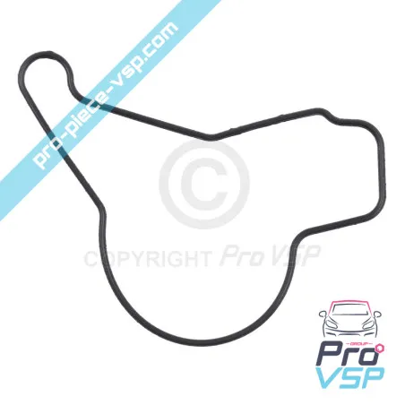 Öl-Ox-Pumpdichtung für Lombardini-Motor focs und progress